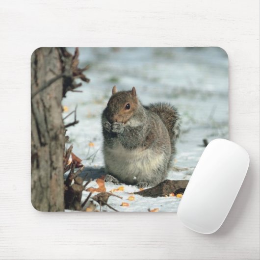 冬リス マウスパッド (マウス)