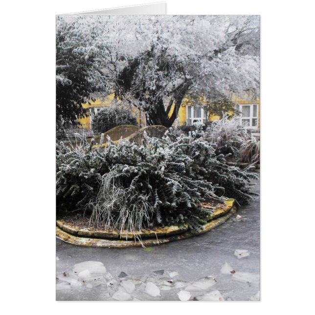 冬凍っていの朝の池 (正面)