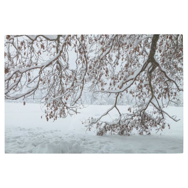 冬場 メタルプリント (正面)