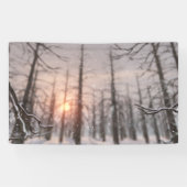 冬夜の夢の旗 横断幕 (横)