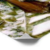 冬女コリードッグ ポスター (角)