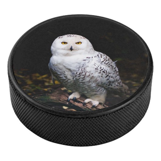 冬威厳のあるのフクロウ アイスホッケーパック (3/4)