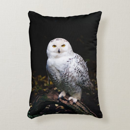 冬威厳のあるのフクロウ アクセントクッション (正面(垂直))