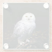 冬威厳のあるのフクロウ ガラスコースター (裏面)