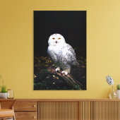 冬威厳のあるのフクロウ キャンバスプリント (インサイチュ (リビング))
