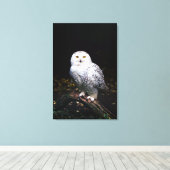 冬威厳のあるのフクロウ キャンバスプリント (インサイチュ (ウッドフロア))