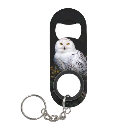 冬威厳のあるのフクロウ キーホルダー栓抜き (正面)