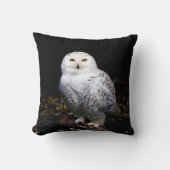 冬威厳のあるのフクロウ クッション (正面)