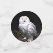 冬威厳のあるのフクロウ コンフェッティ (スモール正面)