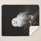 冬威厳のあるのフクロウ シェルパブランケット (正面(横))