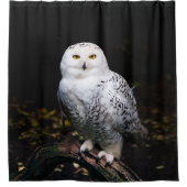 冬威厳のあるのフクロウ シャワーカーテン (正面)