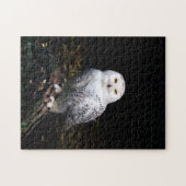 冬威厳のあるのフクロウ ジグソーパズル (横)