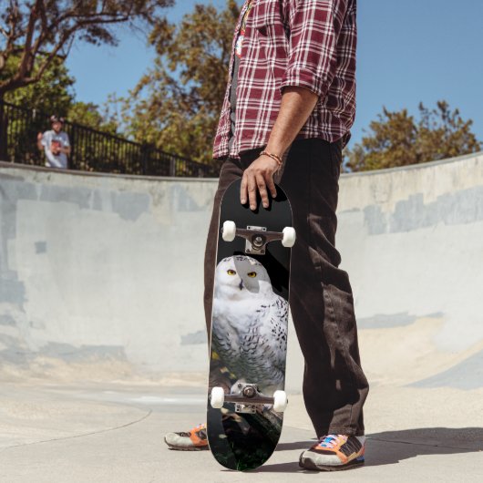 冬威厳のあるのフクロウ スケートボード (室外2)