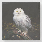 冬威厳のあるのフクロウ ストーンコースター (正面)