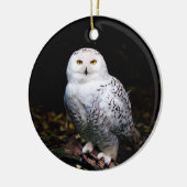 冬威厳のあるのフクロウ セラミックオーナメント (左)