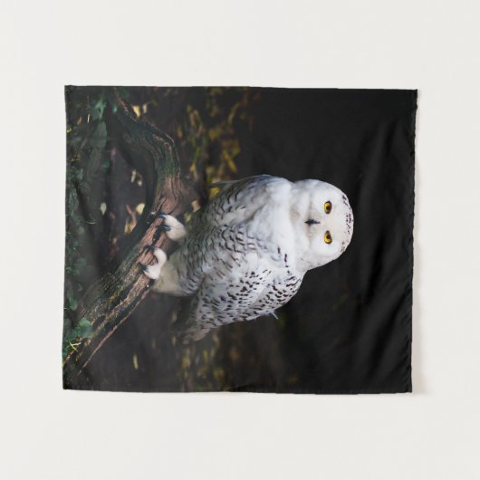 冬威厳のあるのフクロウ タペストリー (正面(横))