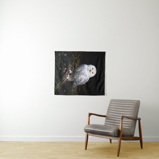 冬威厳のあるのフクロウ タペストリー (インサイチュ(横))