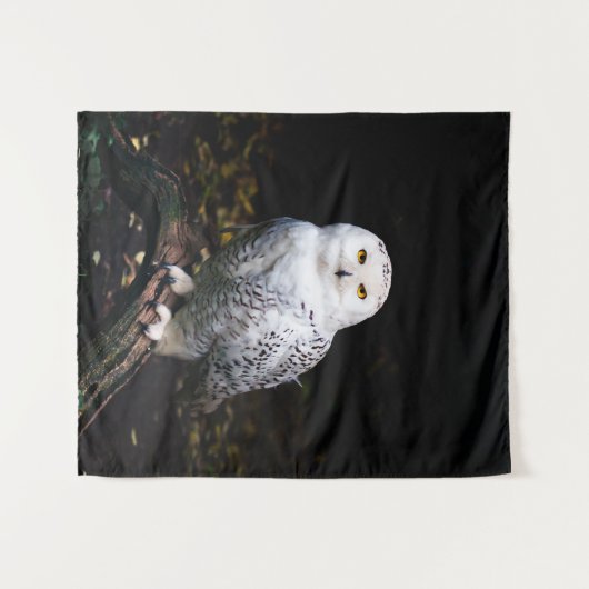 冬威厳のあるのフクロウ タペストリー (正面(横))