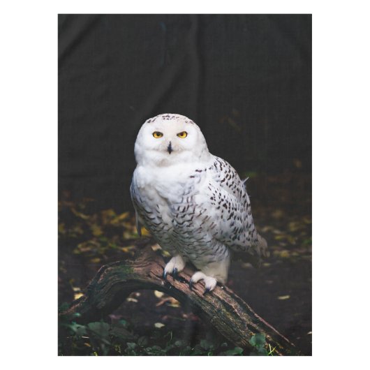 冬威厳のあるのフクロウ テーブルクロス (正面)