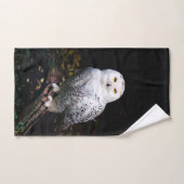 冬威厳のあるのフクロウ バスタオルセット (ハンドタオル)