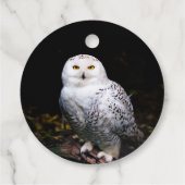 冬威厳のあるのフクロウ フェイバータグ (裏面)