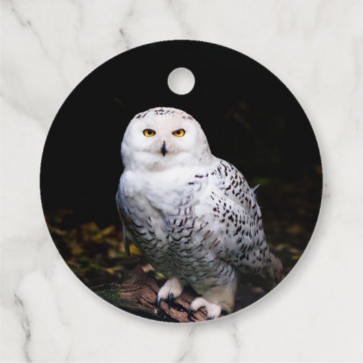 冬威厳のあるのフクロウ フェイバータグ (裏面)