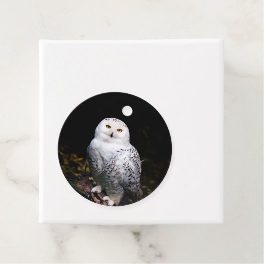 冬威厳のあるのフクロウ フェイバータグ (インサイチュ)