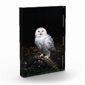 冬威厳のあるのフクロウ フォトブロック (左)