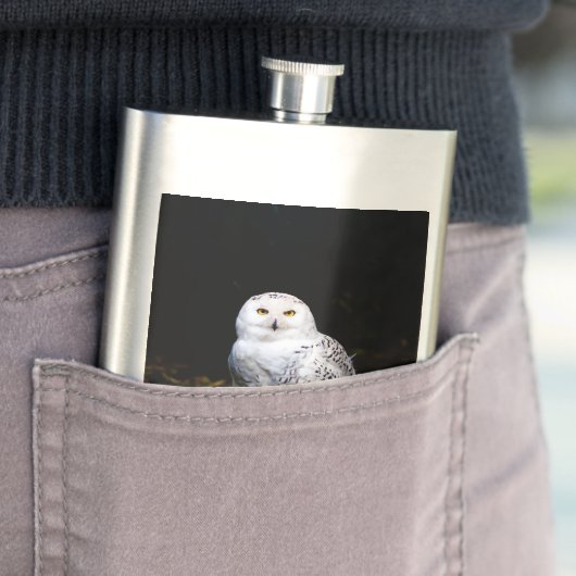 冬威厳のあるのフクロウ フラスク (インサイチュ)