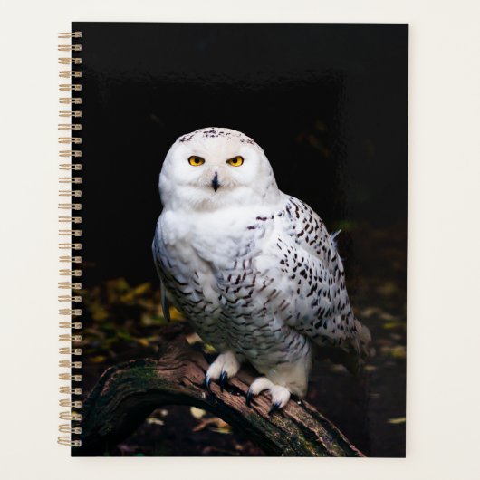 冬威厳のあるのフクロウ プランナー手帳 (正面)