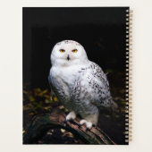 冬威厳のあるのフクロウ プランナー手帳 (裏面)