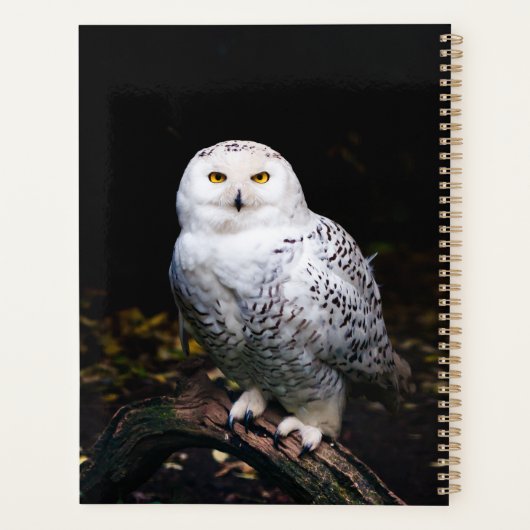 冬威厳のあるのフクロウ プランナー手帳 (裏面)