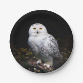 冬威厳のあるのフクロウ ペーパープレート (正面)