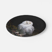 冬威厳のあるのフクロウ ペーパープレート (アングル)