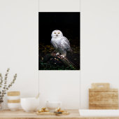冬威厳のあるのフクロウ ポスター (キッチン)