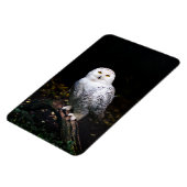 冬威厳のあるのフクロウ マグネット (左側)