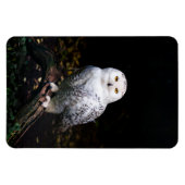 冬威厳のあるのフクロウ マグネット (横)