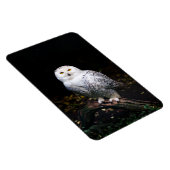 冬威厳のあるのフクロウ マグネット (右側)