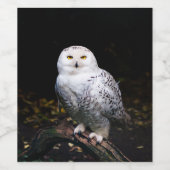 冬威厳のあるのフクロウ ワインラベル (シングルラベル)