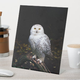 冬威厳のあるのフクロウ 台座サイン