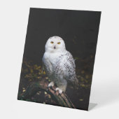 冬威厳のあるのフクロウ 台座サイン (正面)