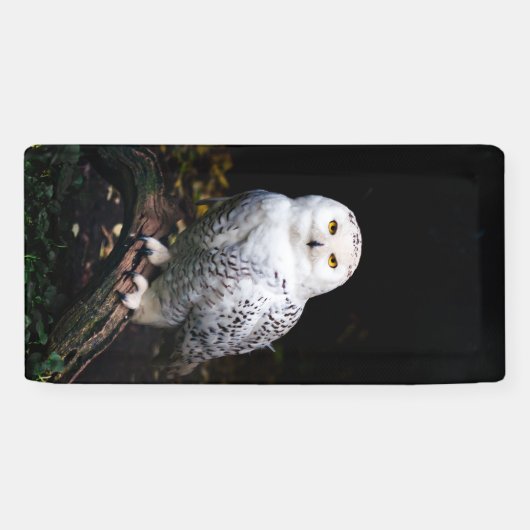 冬威厳のあるのフクロウ 横断幕 (横)