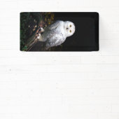 冬威厳のあるのフクロウ 横断幕 (インサイチュ)