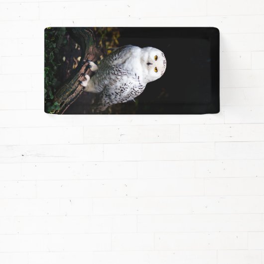 冬威厳のあるのフクロウ 横断幕 (インサイチュ)