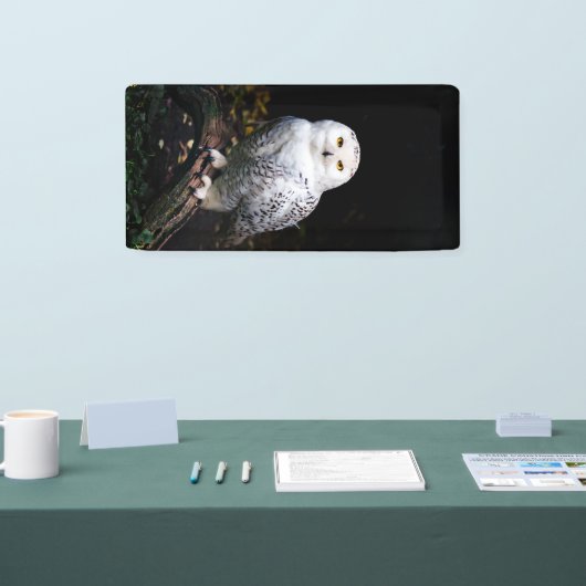 冬威厳のあるのフクロウ 横断幕 (トレードショー)