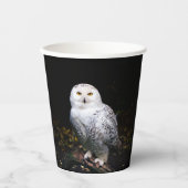 冬威厳のあるのフクロウ 紙コップ (正面)