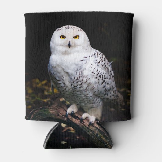 冬威厳のあるのフクロウ 缶クーラー (正面)