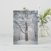 冬威厳のあるの森のブナの木 サンキューカード (スタンド正面)