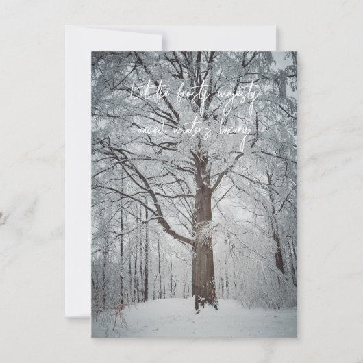 冬威厳のあるの森のブナの木 サンキューカード (正面)