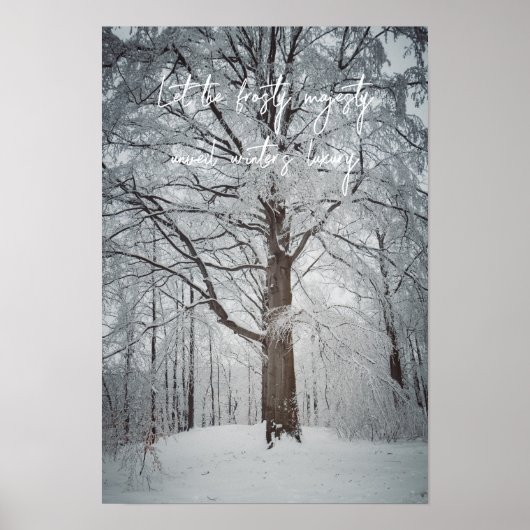 冬威厳のあるの森のブナの木 ポスター (正面)